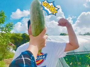 网红瓜妈吃瓜,揭秘网红圈那些不为人知的幕后故事 第3张 网红瓜妈吃瓜,揭秘网红圈那些不为人知的幕后故事 第3张